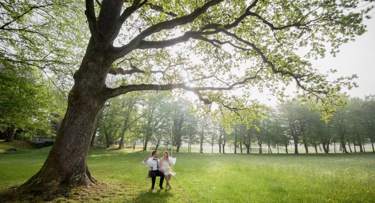 Исполните свои мечты в особенный день