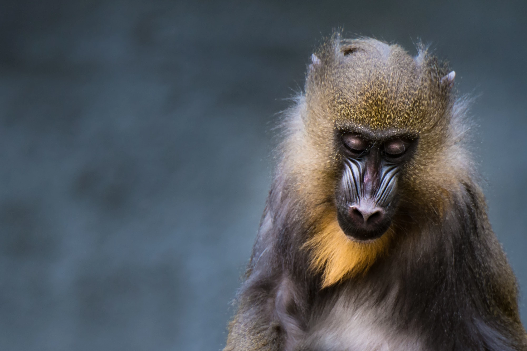 Экваториальная Гвинея