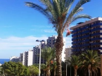 Apartment La Cala Finestrat