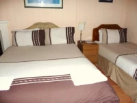 Minto Guest House Edinburgh