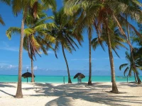 Paje Beach Guesthouse 3*