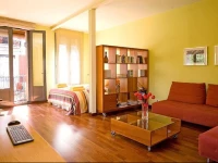 The Luxury Open Space MACBA loft