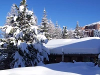 Chalet Les Jonquilles 3*