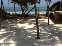 Kusini Beach cottages