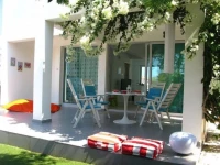 Bougainvillea Protaras