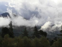 Cedar Lodge Holiday Home 3*