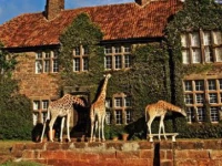 Giraffe Manor Boutique 5*