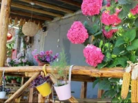 Huairou Jinzi Farmstay