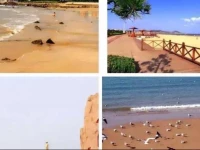 Jinshatan Qinglang Holiday Hotel