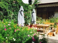 Lhasa Yimanyuan Hotel