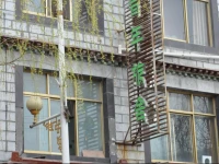 Migrant Bird Youth Hostel