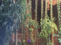 Lijiang encounter days inn