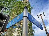 International Luxury Apartment hotel