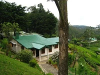 Taprospa Tymawr Villa (Nuwara Eliya)
