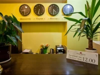 Flowers mini hotel Perm 3*