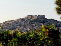 Delphina Hotel and Bungalows 3*