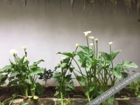 Heshun Tata Vacation Story Inn