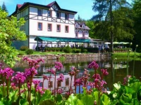 Spa and Wellness Hotel Harmonie 4*