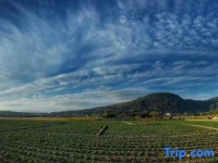 Tengchong YoYo Joy Inn