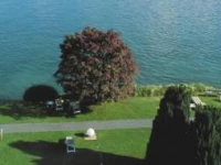 Park Hotel Weggis 5*