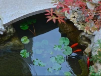 Xiao Yuaner Bed and Breakfast