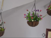 Flowers Home OF YangShuo