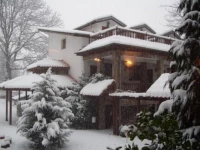 Teddy House (РўСЌРґРґРё РҐР°СѓСЃ) 3*