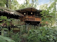 Tree House Lodge