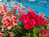 Sunshine Pearl Hotel 1*