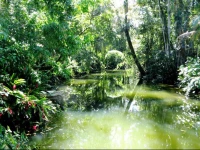 El Tucan Jungle Lodge