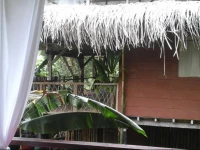 Blue Butterfly Hotel