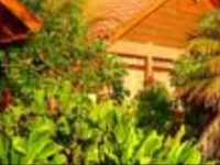 Cabinas Bella Vista Monteverde