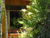 Mariposa Bed and Breakfast