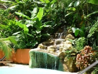 Hotel El Pequeno Gecko Verde