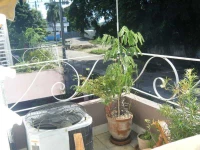 Havana Day and Night