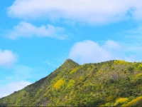 Mauri holidays Budgeted apartment