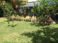 The Coconut Comfy Studio