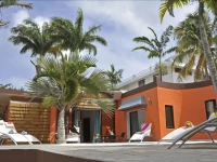 Flowers of Paradise 3*