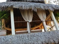 Les Hibiscus Nosy-Be