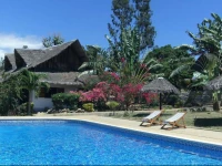 Les Dauphins De Nosy Be