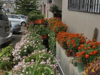 KPW at Royal Lily Apartment 2*