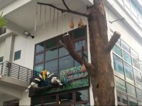 Elit Natural Leisure Homestay Penang