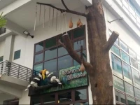 Elit Natural Leisure Homestay Penang