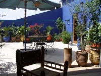 Les Palmiers De Zohour