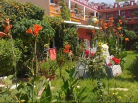 Hotel Posada Tolteca