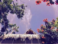 Hotel Posada Senor Manana