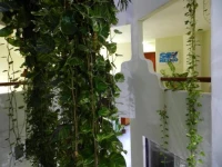 Hotel Castillo Del Mar 2*