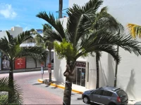 Luna Antigua by Mamitas Beach