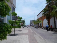 Le Petit Bonheur Studio