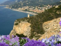 Casa Vacanze Isophylla